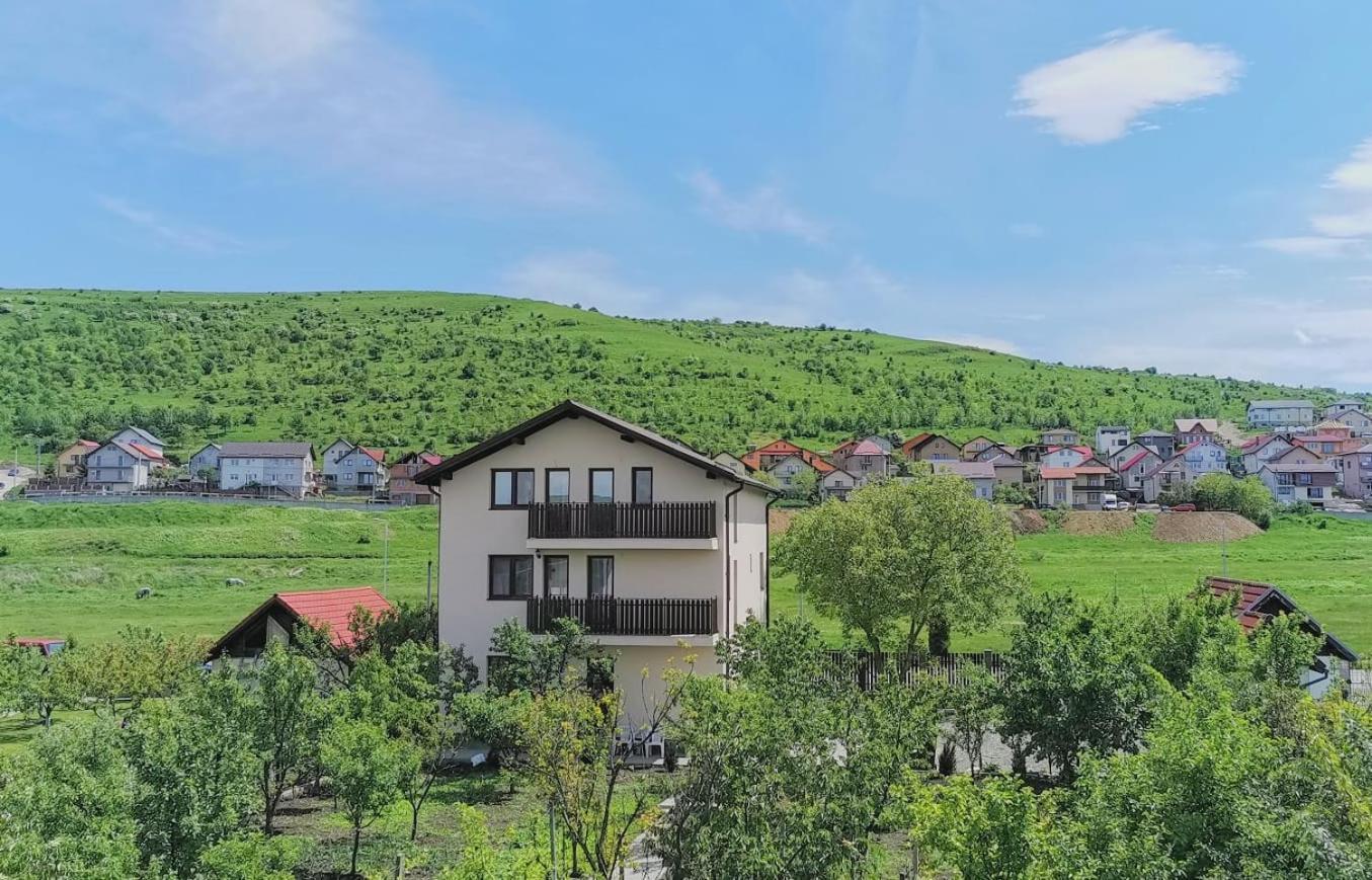 Pensiunea Albina Sinnicoara Exteriér fotografie