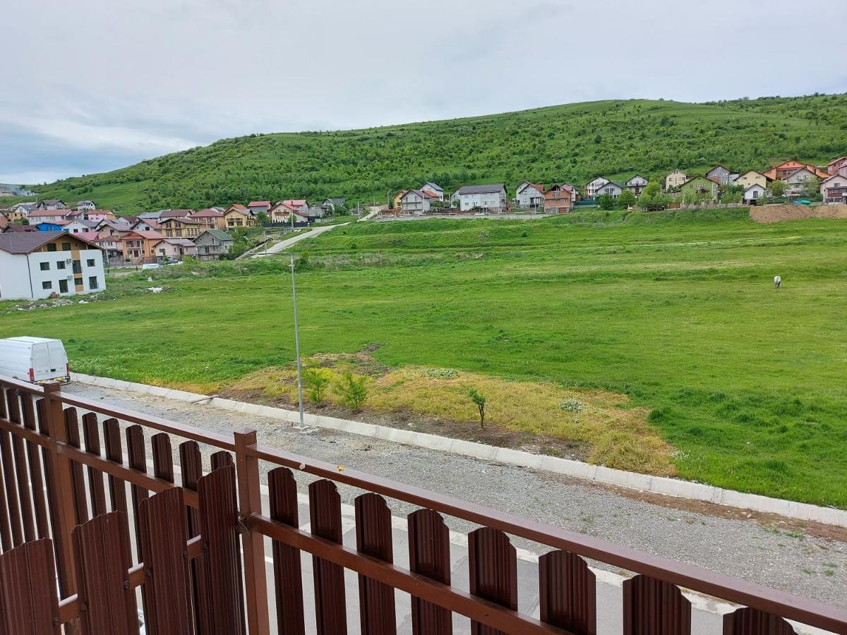 Pensiunea Albina Sinnicoara Exteriér fotografie