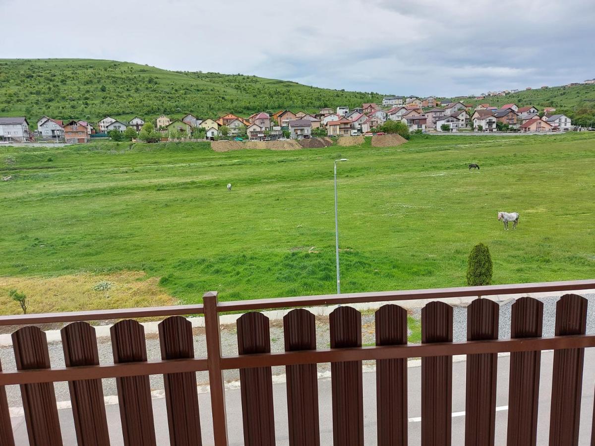 Pensiunea Albina Sinnicoara Exteriér fotografie
