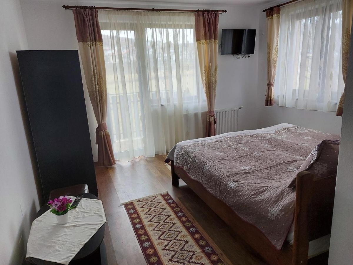 Pensiunea Albina Sinnicoara Exteriér fotografie