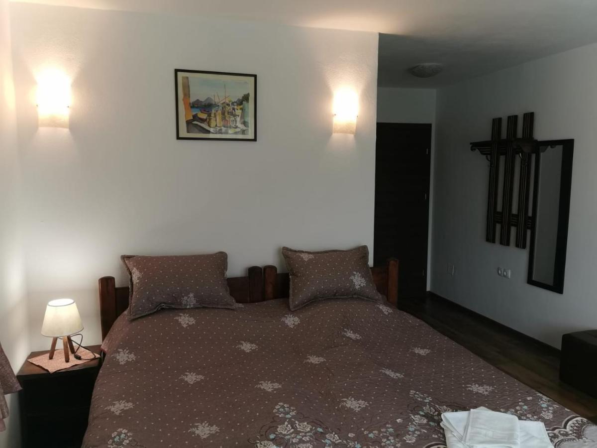 Pensiunea Albina Sinnicoara Exteriér fotografie