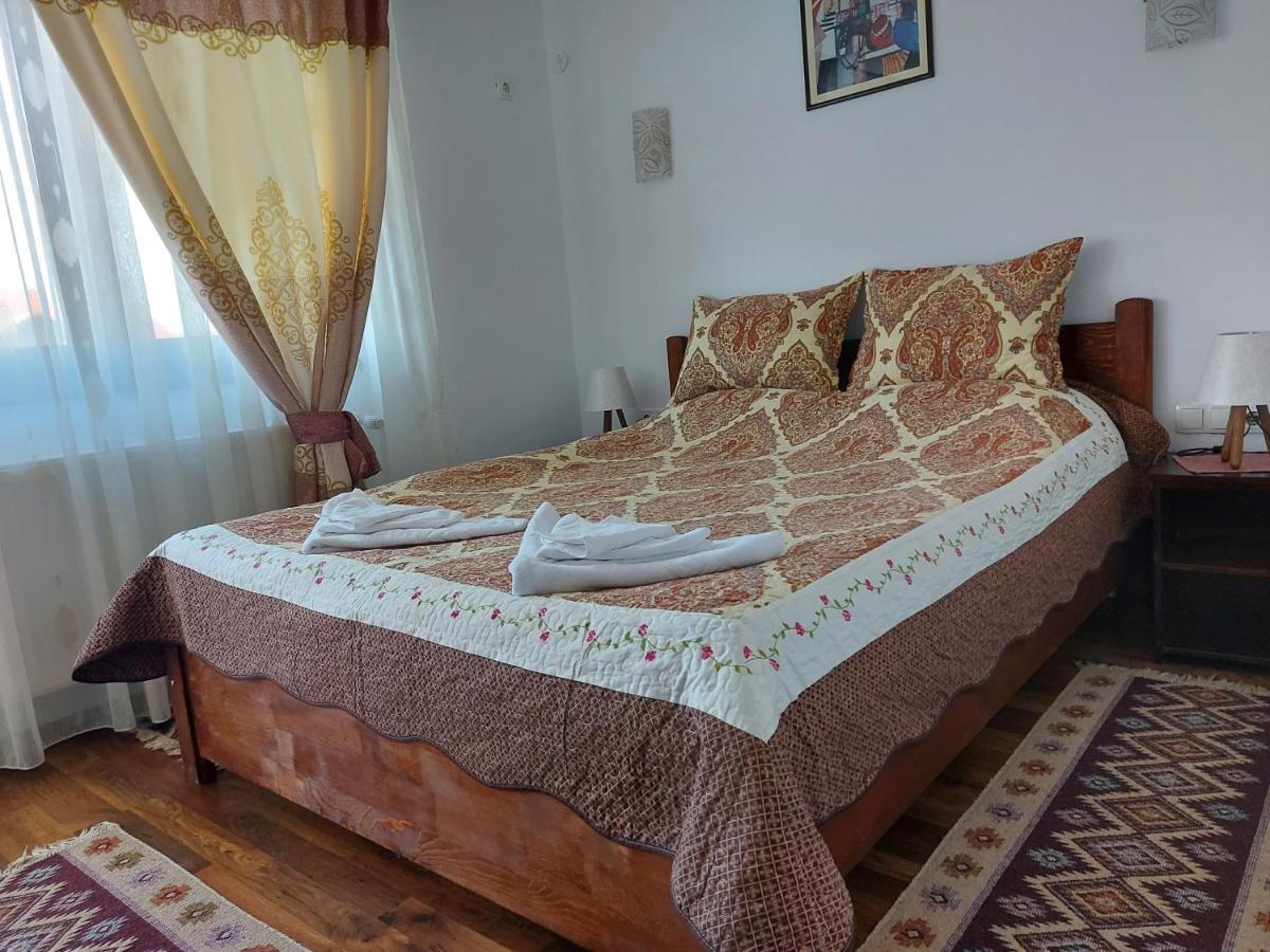 Pensiunea Albina Sinnicoara Exteriér fotografie