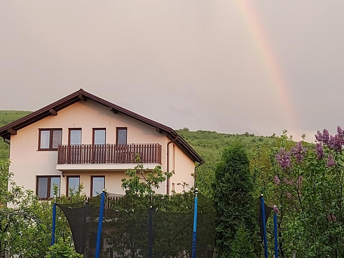 Pensiunea Albina Sinnicoara Exteriér fotografie