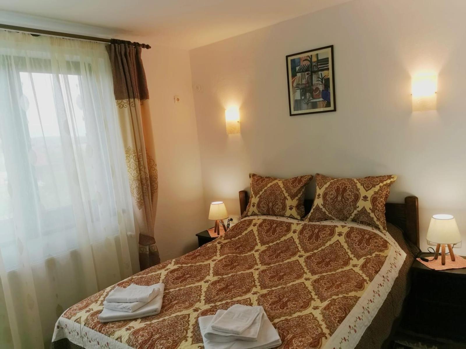 Pensiunea Albina Sinnicoara Pokoj fotografie